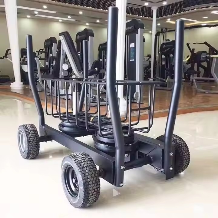 Equipamento de Ginástica: Carr - Fitness Equipment avaliação e preço